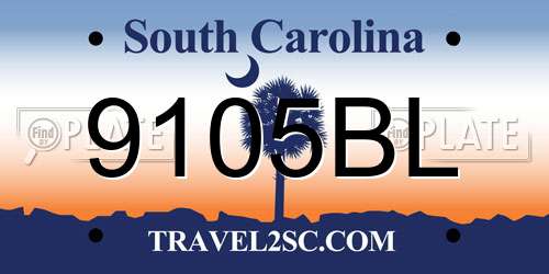 9105BL South Carolina License Plate