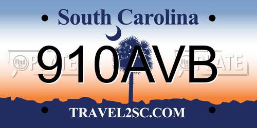 910AVB South Carolina License Plate