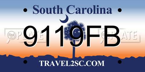 9119FB South Carolina License Plate