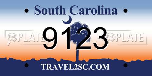 9123 South Carolina License Plate