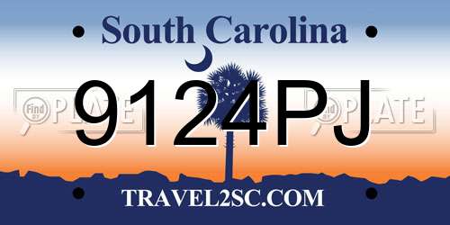 9124PJ South Carolina License Plate