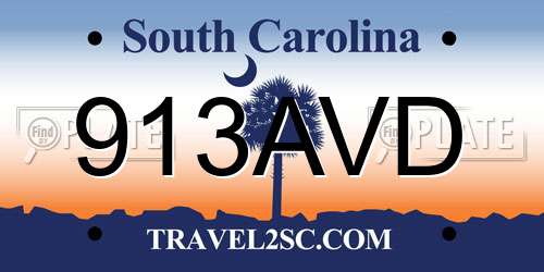 913AVD South Carolina License Plate