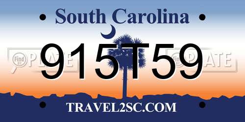 915T59 South Carolina License Plate