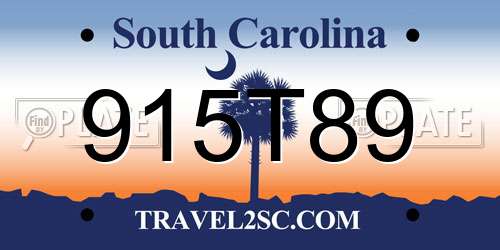 915T89 South Carolina License Plate