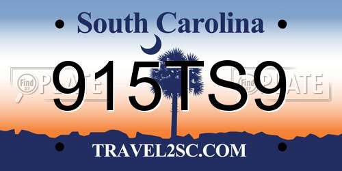915TS9 South Carolina License Plate