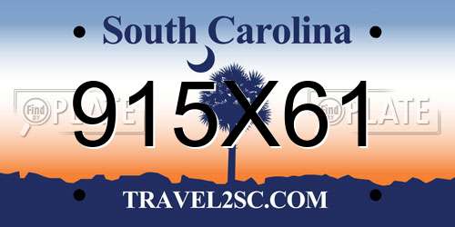 915X61 South Carolina License Plate