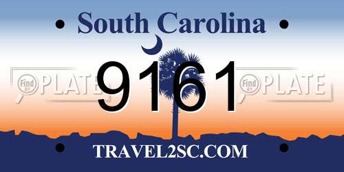 9161 South Carolina License Plate