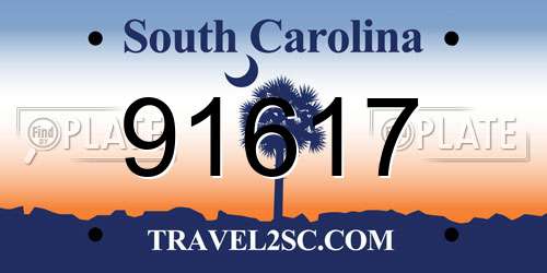 91617 South Carolina License Plate