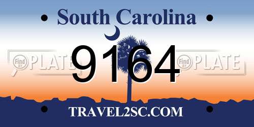 9164 South Carolina License Plate