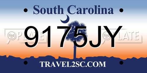 9175JY South Carolina License Plate