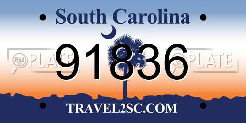 91836 South Carolina License Plate