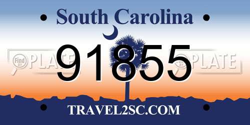 91855 South Carolina License Plate