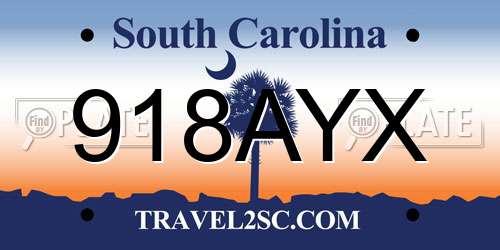 918AYX South Carolina License Plate