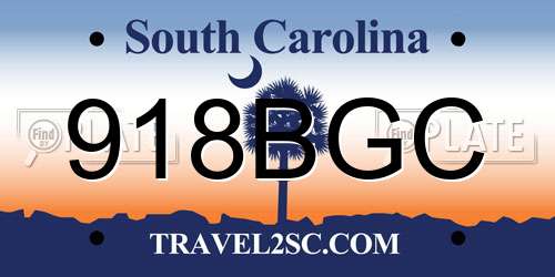 918BGC South Carolina License Plate