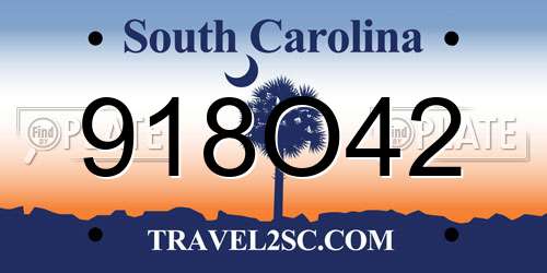 918O42 South Carolina License Plate