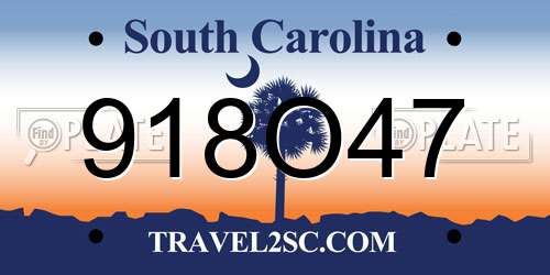 918O47 South Carolina License Plate