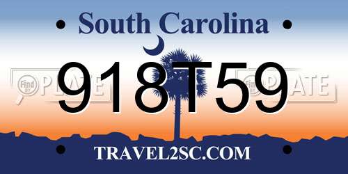 918T59 South Carolina License Plate