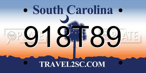918T89 South Carolina License Plate