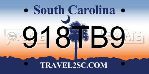 918TB9 South Carolina License Plate