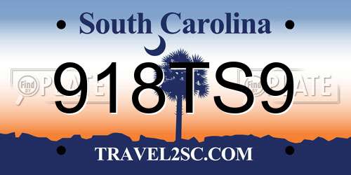 918TS9 South Carolina License Plate