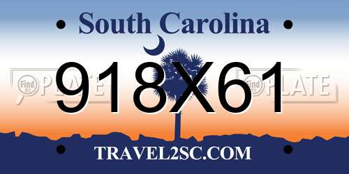 918X61 South Carolina License Plate