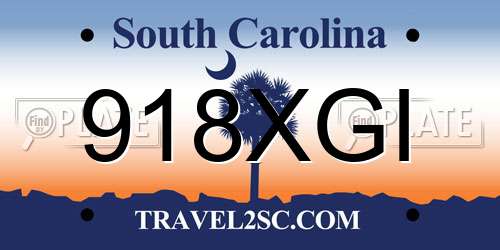 918XGI South Carolina License Plate
