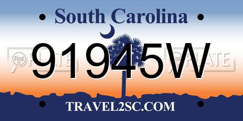 91945W South Carolina License Plate