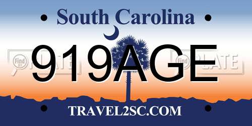 919AGE South Carolina License Plate