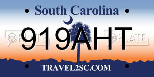 919AHT South Carolina License Plate