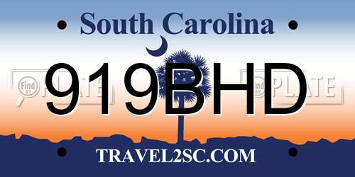 919BHD South Carolina License Plate