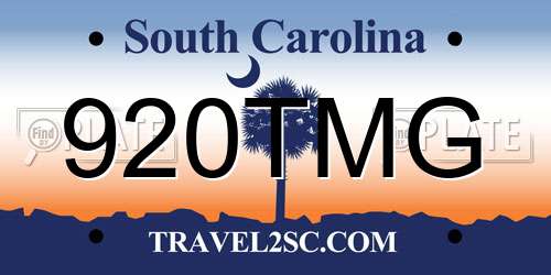 920TMG South Carolina License Plate