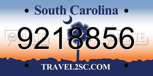 9218856 South Carolina License Plate