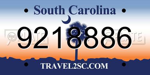 9218886 South Carolina License Plate