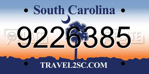 9226385 South Carolina License Plate