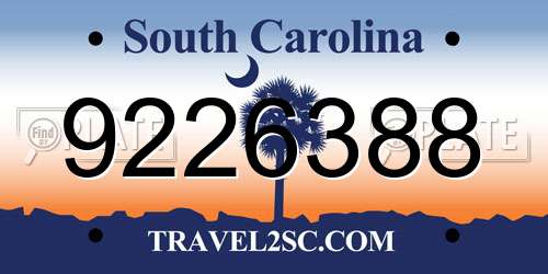 9226388 South Carolina License Plate