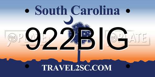 922BIG South Carolina License Plate