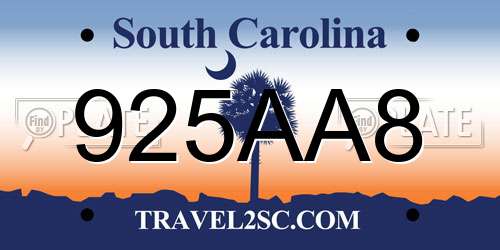 925AA8 South Carolina License Plate