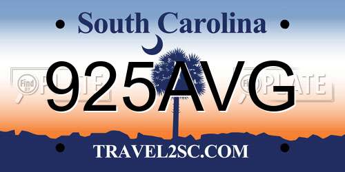 925AVG South Carolina License Plate
