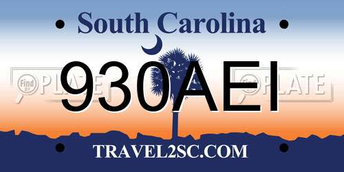 930AEI South Carolina License Plate