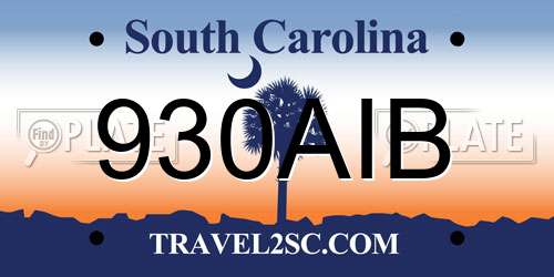930AIB South Carolina License Plate