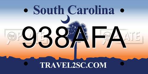 938AFA South Carolina License Plate