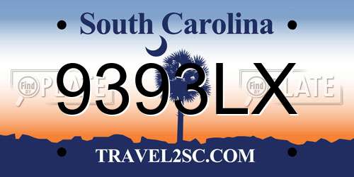 9393LX South Carolina License Plate