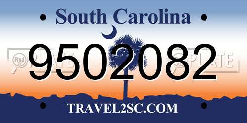 9502082 South Carolina License Plate