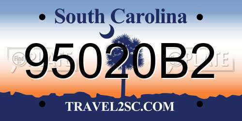 95020B2 South Carolina License Plate
