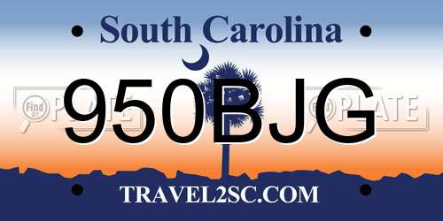 950BJG South Carolina License Plate