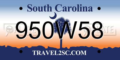 950W58 South Carolina License Plate