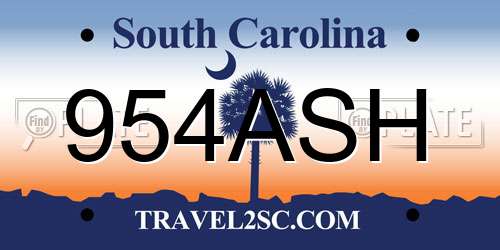 954ASH South Carolina License Plate