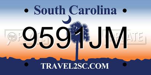 9591JM South Carolina License Plate