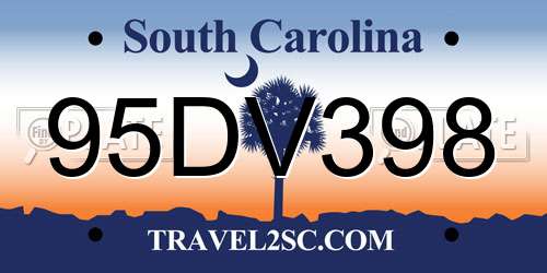 95DV398 South Carolina License Plate
