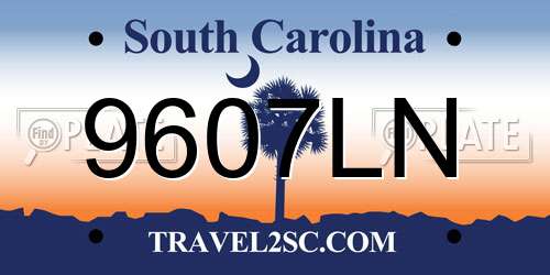 9607LN South Carolina License Plate